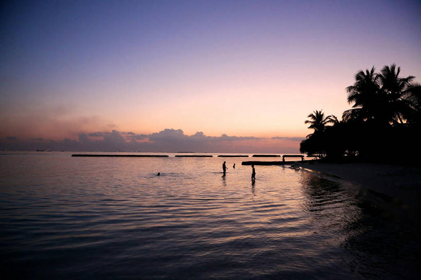 横图,室外,海洋,马尔代夫,岛,云,树,风景,天空,自然,黄昏,乐趣,摄影,宁静,热带气候,印度洋,享乐,剪影,马累岛,休闲活动,彩图