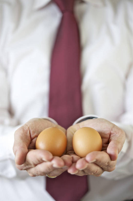 成年人,一个人,竖图,特写,正面,衬衫,奥地利,维也纳,仅一个男性,鸡蛋,褐色,领带,首都,拿着,饮食,摄影,部分,脆弱,捧着,彩图