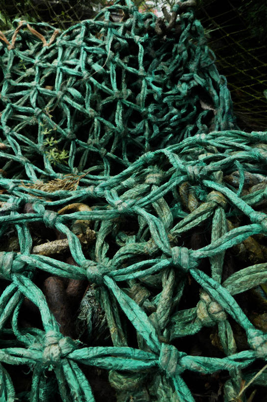 无人,竖图,室外,特写,白天,渔业,新西兰,绿色,绳子,摄影,鱼网,彩图