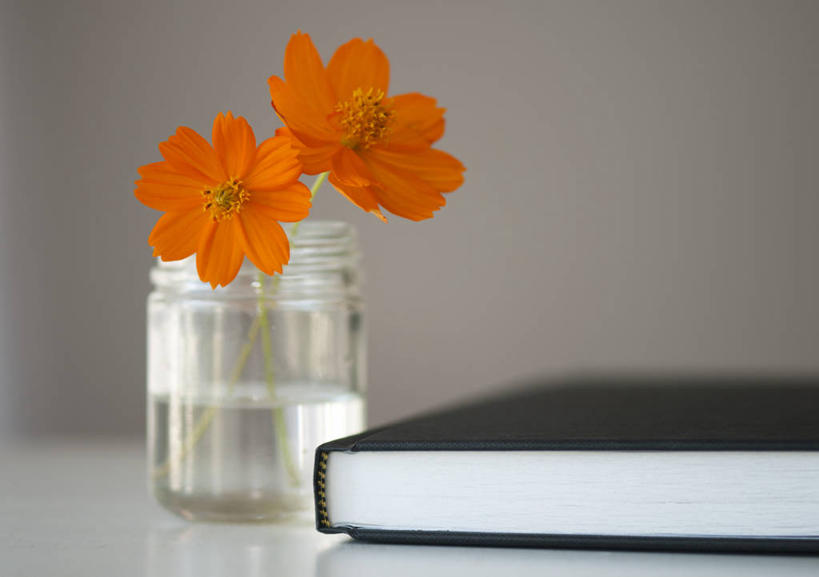 无人,横图,室内,水,桌子,花瓶,澳大利亚,教育,花,花瓣,摄影,大波斯菊,脆弱,清新,昆士兰州,汤斯维尔,书,彩图