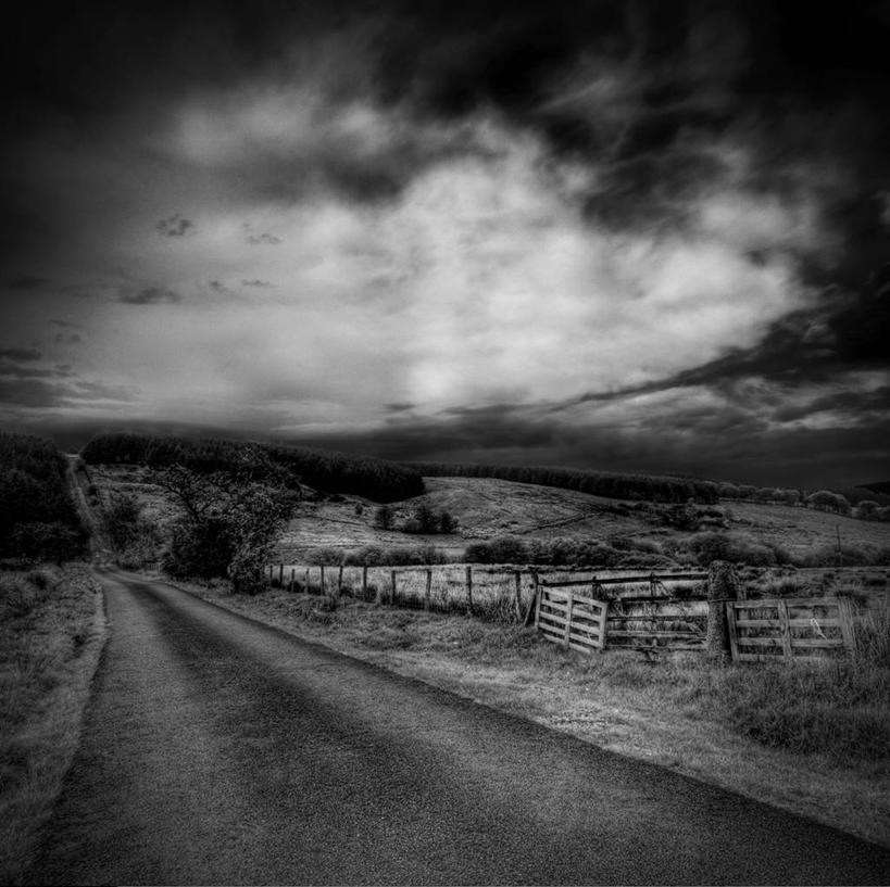 无人,横图,黑白,室外,森林,英国,地形,篱笆,风景,自然,黄昏,摄影,宁静,单行道