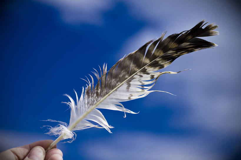 一个人,横图,室外,特写,白天,德国,云,拿着,一个,天空,手指,摄影,单个,部分,柔和,彩图