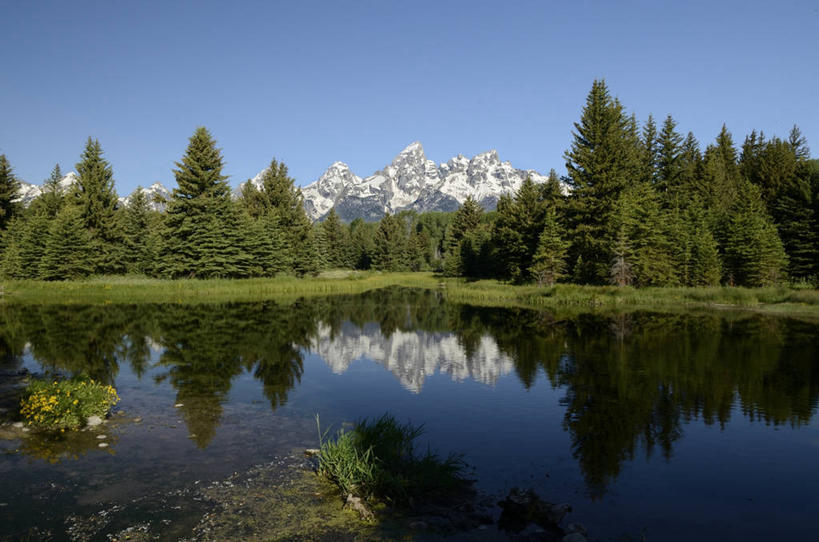 无人,横图,室外,白天,美景,山,松树,美国,对称,反射,池塘,景观,草,树,蓝色,绿色,风景,天空,自然,景色,摄影,宁静,自然风光,怀俄明,大提顿国家公园,杰克逊霍尔,彩图