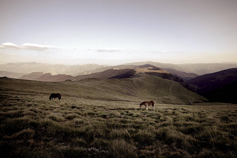 无人,横图,室外,山,马,西班牙,地形,草,天空,自然,黄昏,动物,两只,家畜,摄影,宁静,万里无云,莱里达,彩图