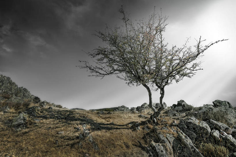 无人,横图,室外,白天,山,西班牙,树,天空,自然,摄影,岩石,彩图,瓜达拉哈拉省