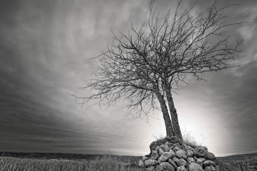 无人,横图,室外,白天,多云,西班牙,云,树,天空,自然,摄影,彩图,独处