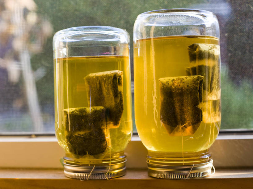 无人,横图,室内,特写,白天,窗户,日光,美国,关闭,绿茶,两个,摄影,宁静,颠倒,封闭,密封,清新,加利福尼亚,奥克兰,彩图