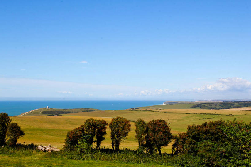 无人,横图,室外,白天,美景,英国,欧洲,景观,英格兰,树,风景,天空,自然,景色,摄影,生长,宁静,西欧,自然风光,大不列颠,大不列颠及北爱尔兰联合王国,大不列颠及爱尔兰联合王国,萨塞克斯,萨塞克斯郡,苏塞克斯,东萨塞克斯郡,伊斯特本,彩图,大不列颠王国,大英帝国,联合王国,日不落帝国