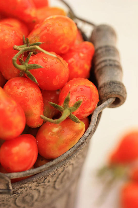 无人,竖图,特写,白色背景,蔬菜,西红柿,澳大利亚,丰富,金属,木制,把手,摄影,堆,清新,西澳大利亚,樱桃番茄,彩图,影棚拍摄