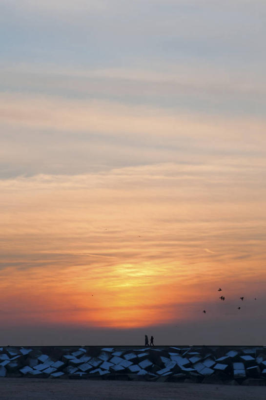 成年人,两个人,竖图,室外,美景,日落,荷兰,鸟类,景观,云,堤岸,风景,天空,自然,景色,摄影,五只,自然风光,水力发电,异性恋,男人,女人,彩图,海港,伴侣