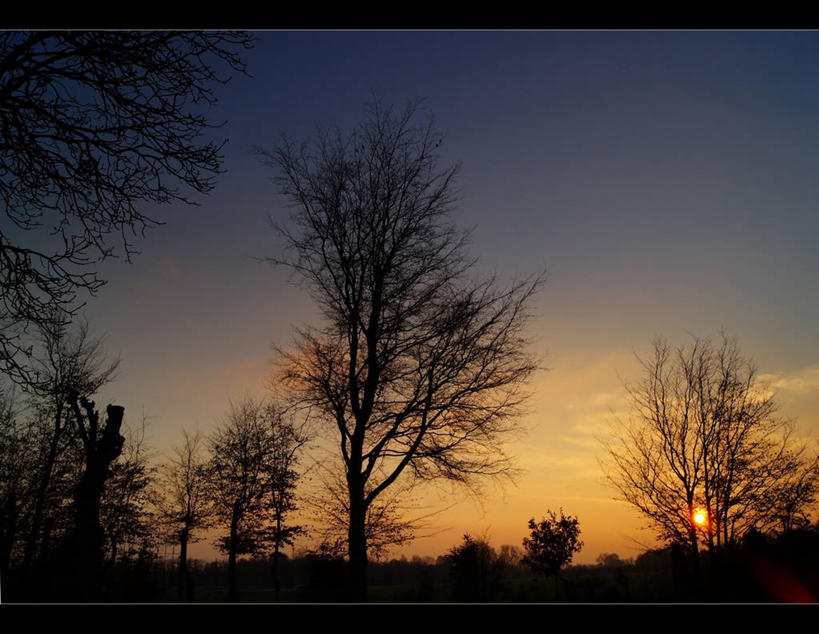 无人,横图,室外,旅游,度假,美景,日落,太阳,荷兰,景观,云,娱乐,风景,天空,自然,享受,休闲,景色,放松,摄影,宁静,自然风光,剪影,北布拉班特,彩图