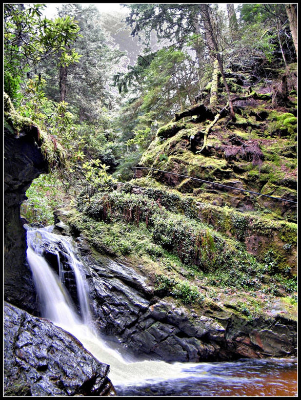 无人,竖图,室外,白天,长时间曝光,美景,瀑布,英国,景观,苏格兰,草,树,风景,自然,景色,摄影,宁静,自然风光,死水,岩石,彩图,灼伤