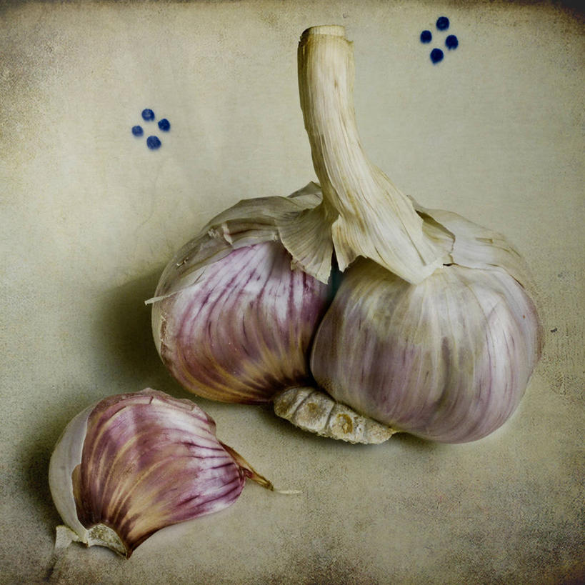 无人,方图,室内,特写,白天,法国,饮食,盘子,摄影,清新,健康食物,大蒜,彩图