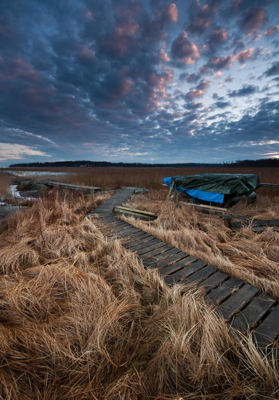 无人,竖图,室外,船,瑞典,包装,地形,云,黎明,草,风景,天空,自然,摄影,木板路,保护,宁静,彩图