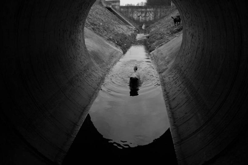 无人,横图,黑白,室内,白天,水,宠物,狗,德国,反射,隧道,动物,两只,家畜,摄影,汉诺威