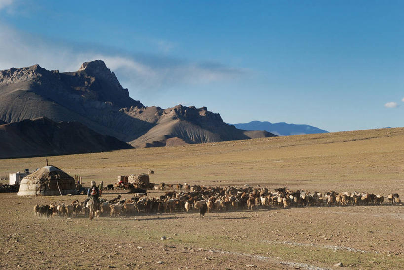横图,室外,白天,旅游,度假,美景,山,塔吉克斯坦,一群,许多,地形,景观,云,羊群,很多,娱乐,风景,天空,自然,享受,休闲,家畜,景色,放松,摄影,自然风光,绵羊,彩图