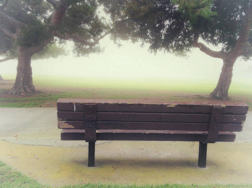 无人,公园,横图,室外,白天,雾,椅子,美国,长椅,天气,草,树,自然,摄影,宁静,早晨,加利福尼亚,彩图