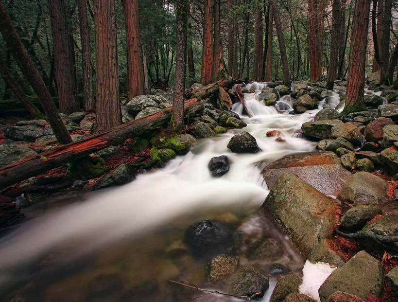 无人,横图,室外,白天,长时间曝光,美景,森林,美国,景观,流水,苔藓,树,小溪,自然,景色,摄影,宁静,加利福尼亚,自然风光,优胜美地国家公园,彩图