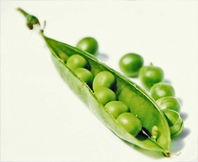 无人,横图,特写,白色背景,植物,英国,许多,豆类,豆子,豌豆,很多,荷兰豆,饮食,绿色,摄影,清新,雪豆,豆科,寒豆,毕豆,麻累,国豆,小寒豆,麦豌豆,彩图,影棚拍摄