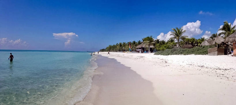 横图,全景,室外,白天,度假,海洋,棕榈树,墨西哥,沙子,水平线,云,天空,自然,摄影,享乐,拉丁美洲,肯他纳罗,海滩,彩图