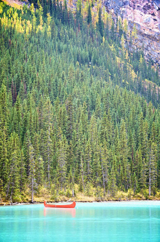 无人,竖图,室外,白天,湖,森林,山,船,加拿大,反射,树,红色,自然,摄影,宁静,独木舟,班夫国家公园,亚伯达,露易斯湖,彩图