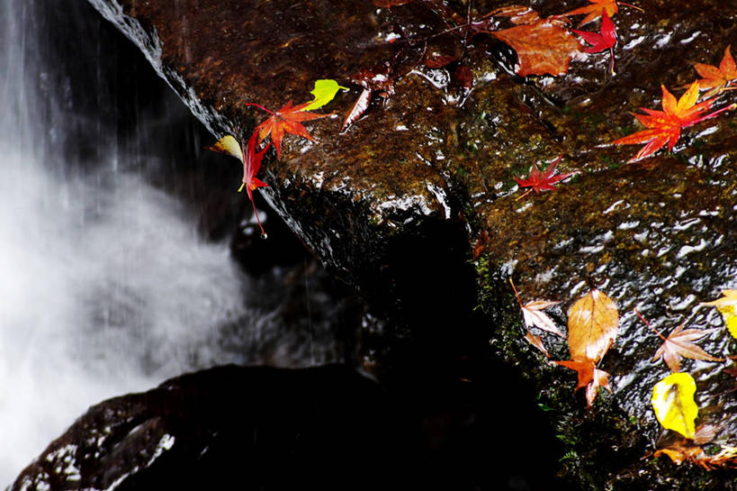 横图,日本,摄影