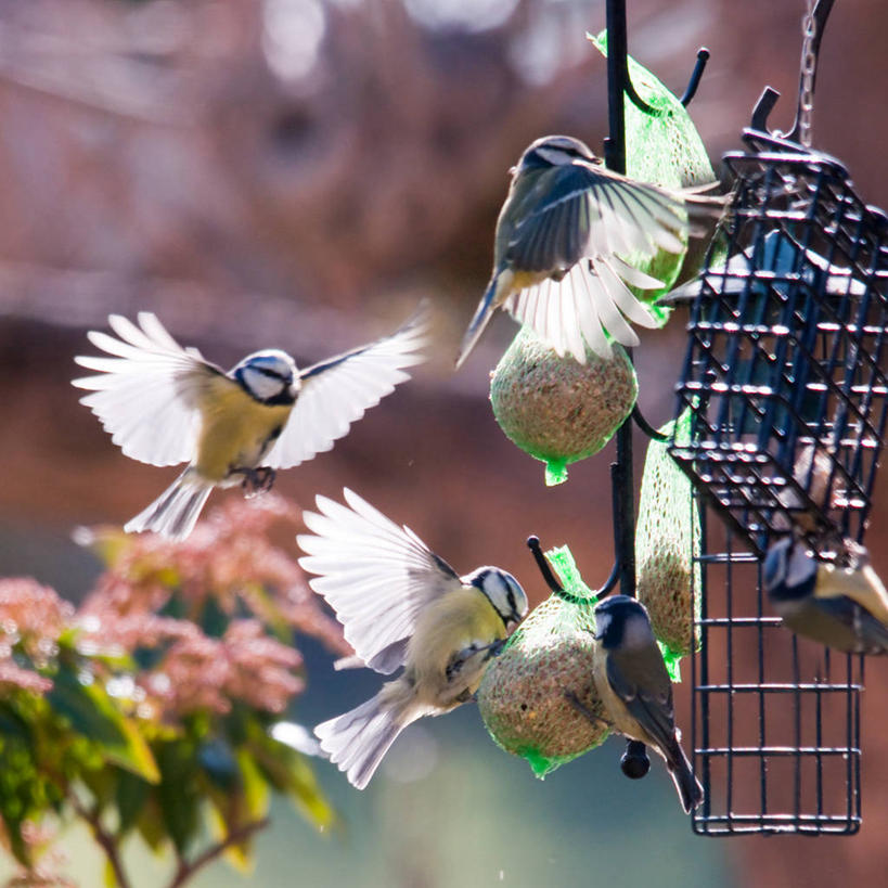 方图,法国,摄影
