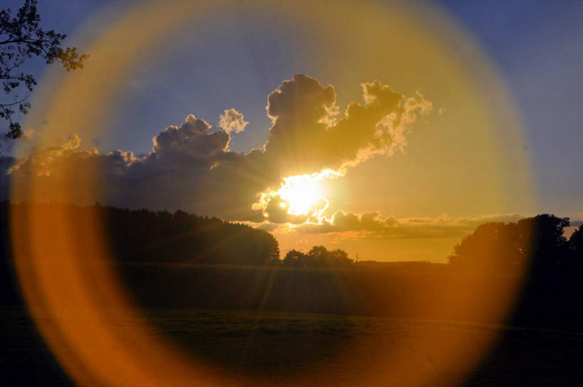 横图,比利时,首都,摄影,瓦隆