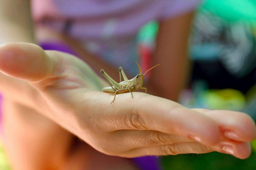 横图,乌克兰,摄影