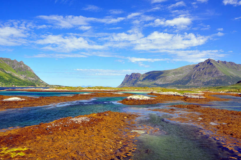 横图,挪威,摄影