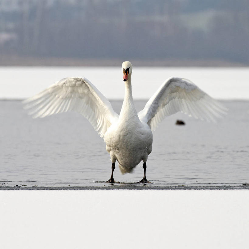 方图,摄影,捷克共和国
