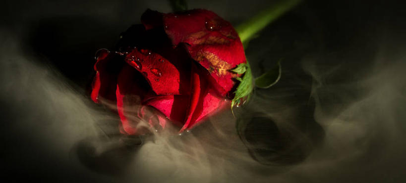 横图,全景,英国,摄影,莱切斯特城