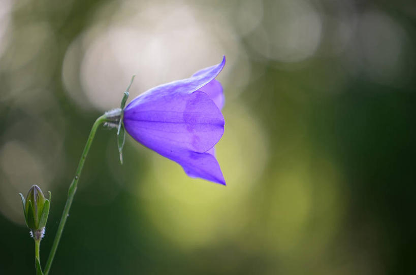无人,横图,室外,奥地利,摄影,彩图