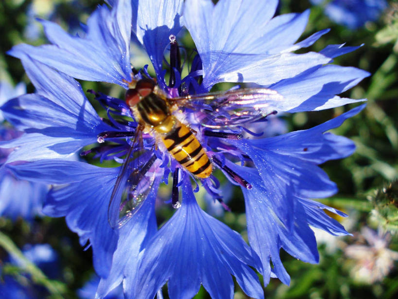 横图,英国,摄影