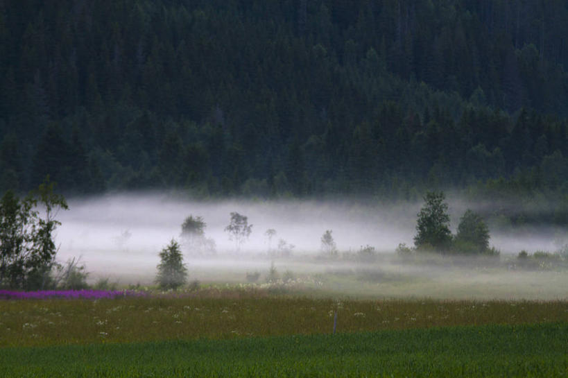 横图,瑞典,摄影