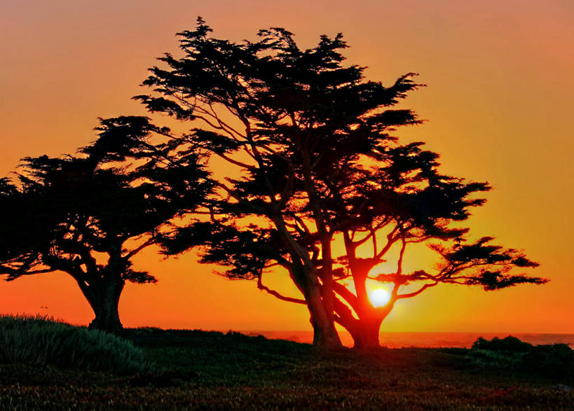 横图,美国,摄影,加利福尼亚