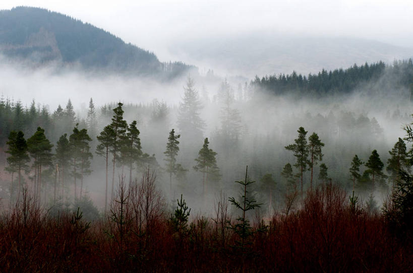 横图,英国,摄影