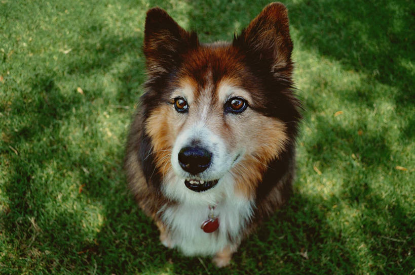 横图,美国,摄影,北美,北美洲,美洲,佛罗里达,佛罗里达州,佛州,阳光州,北亚美利加洲,亚美利加洲,彩图,美利坚合众国