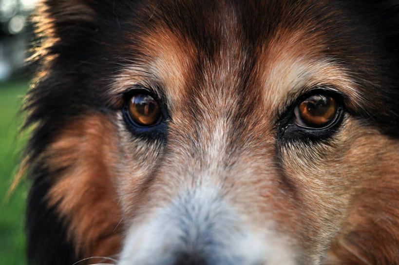 横图,美国,摄影,北美,北美洲,美洲,佛罗里达,佛罗里达州,佛州,阳光州,北亚美利加洲,亚美利加洲,彩图,美利坚合众国