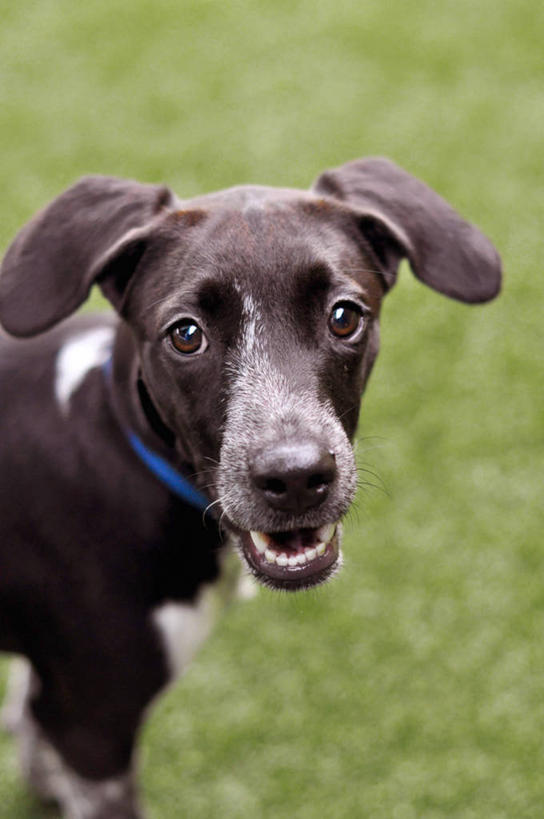 竖图,美国,摄影,北美,北美洲,美洲,佛罗里达,佛罗里达州,佛州,阳光州,北亚美利加洲,亚美利加洲,美利坚合众国,莱克兰