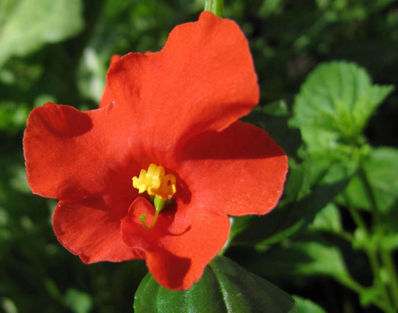 横图,挪威,欧洲,摄影,斯堪的纳维亚,北欧,斯堪的那维亚,斯堪的那维亚半岛,斯堪的纳维亚半岛,挪威王国,罗加兰,罗加兰郡