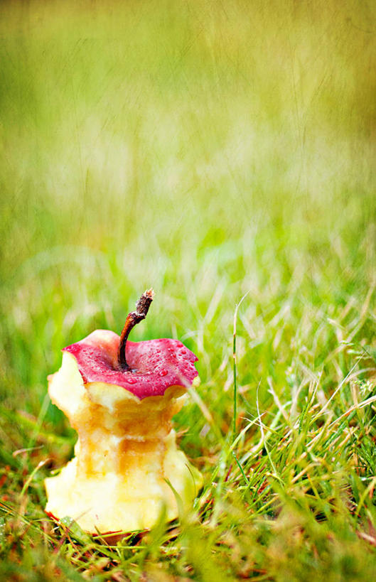 无人,竖图,室外,特写,白天,苹果,美国,咬,饮食,草,摄影,咬着,健康食物,维吉尼亚,彩图,结尾