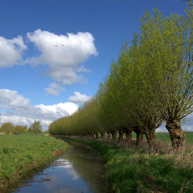 方图,荷兰,摄影,海尔德兰