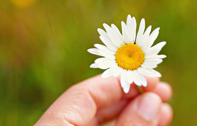 横图,美国,摄影,维吉尼亚