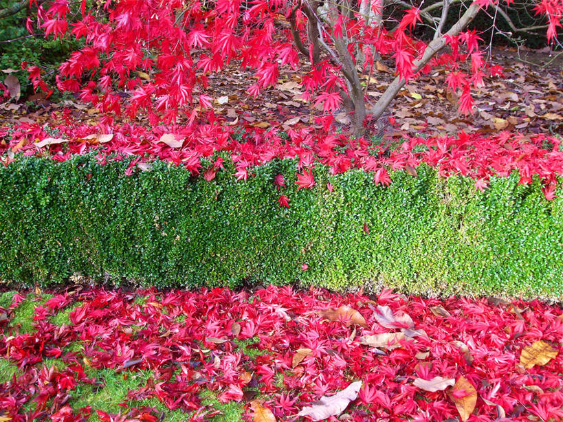 横图,英国,摄影,伍斯特郡