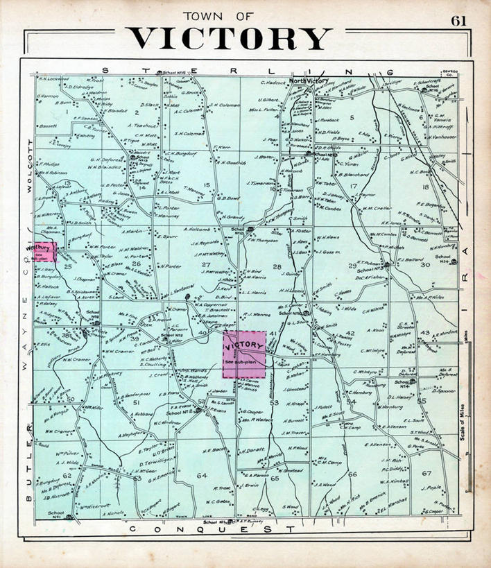 无人,竖图,成功,地图,历史,古董,纽约州,彩图