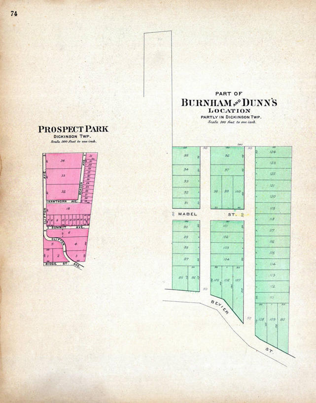无人,竖图,地图,纽约,城镇,历史,古董,彩图