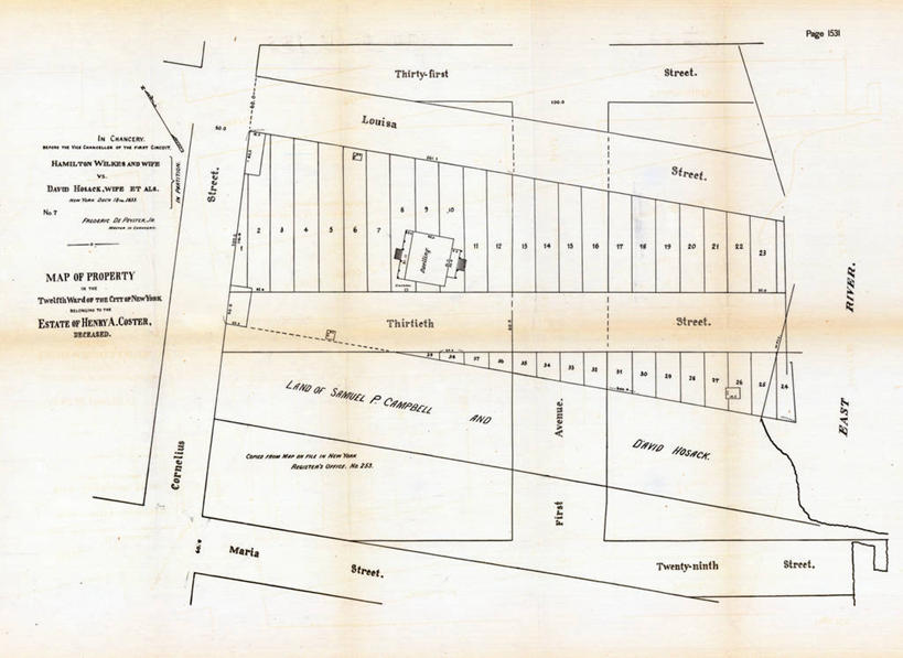 无人,横图,地图,纽约,城镇,历史,古董,彩图,地图学