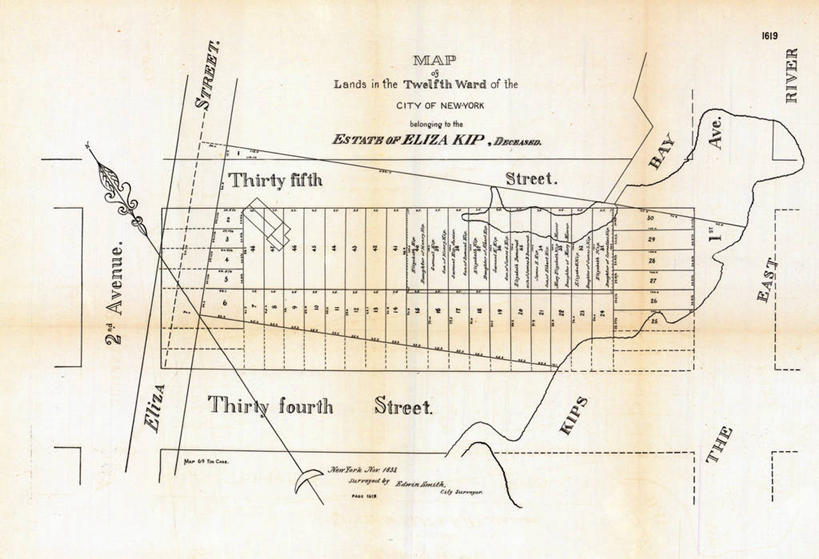 无人,横图,地图,纽约,城镇,曼哈顿,历史,古董,彩图,地图学
