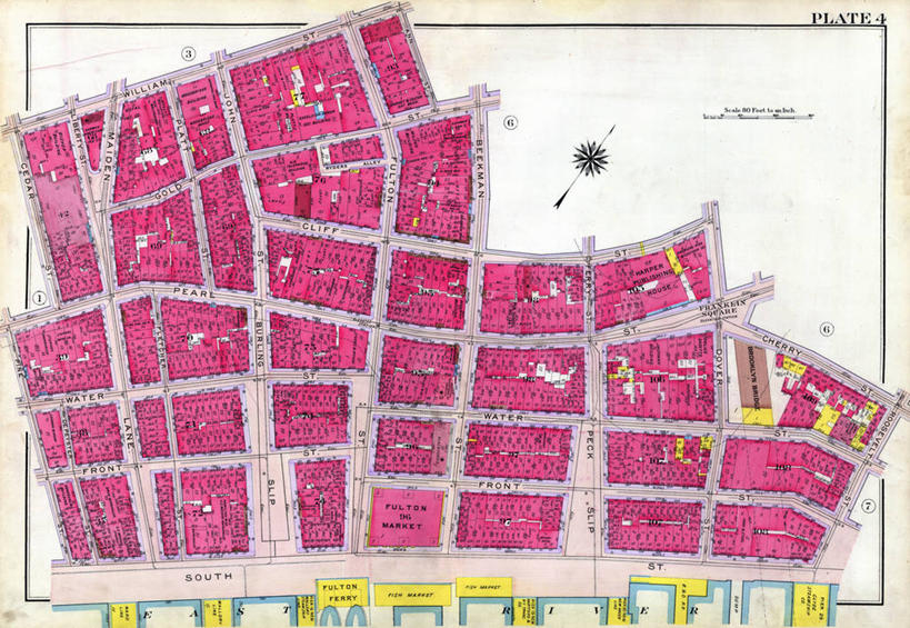 无人,横图,松树,地图,纽约,城镇,历史,古董,松木,彩图,地图学,东河
